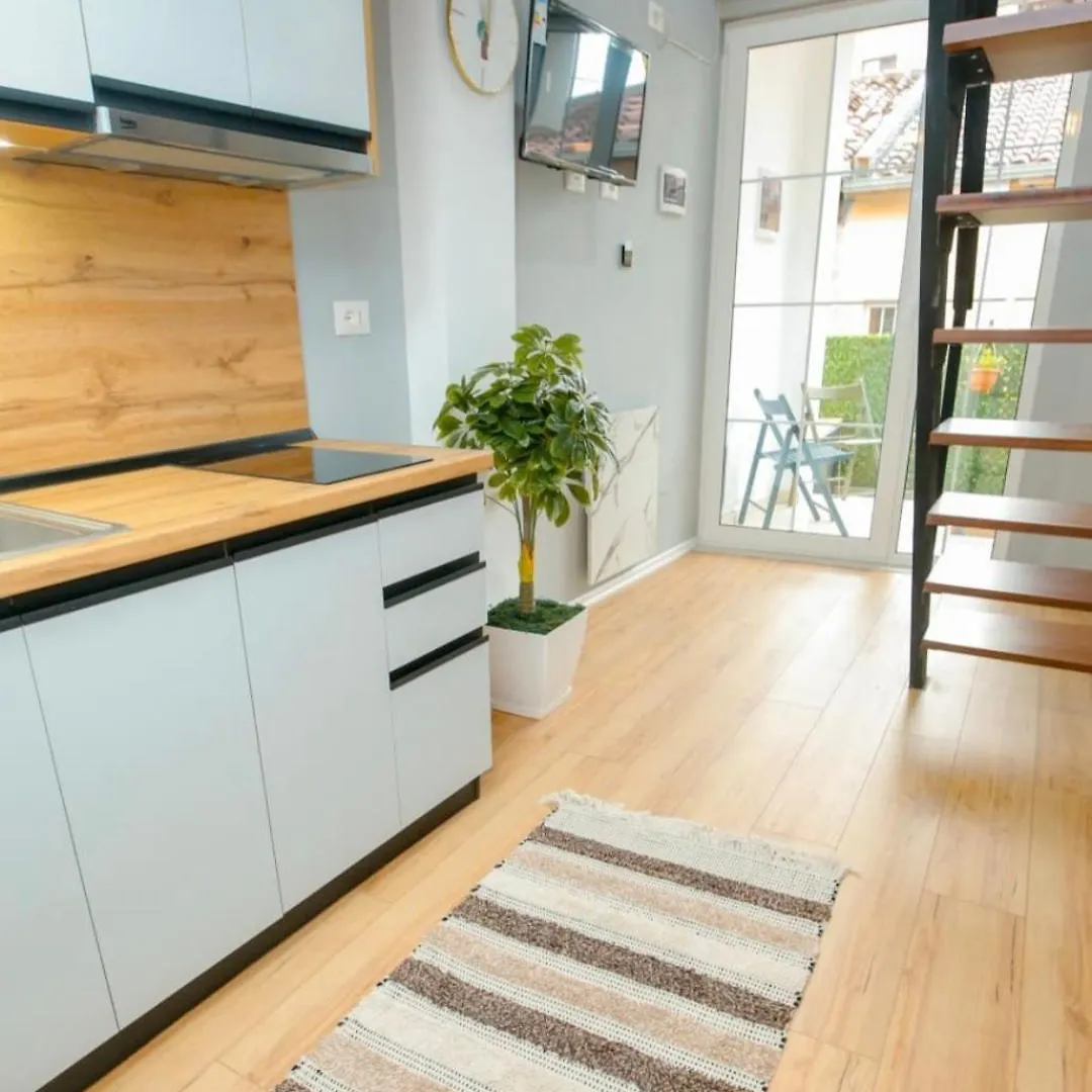 Alvin House Villa Shkodra
